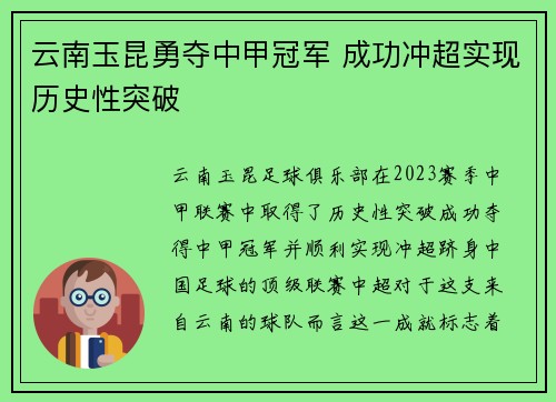云南玉昆勇夺中甲冠军 成功冲超实现历史性突破 云南玉昆勇夺中甲冠军 成功冲超实现历史性突破